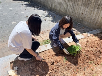 요리동아리 배추 모종 심은 날 !
