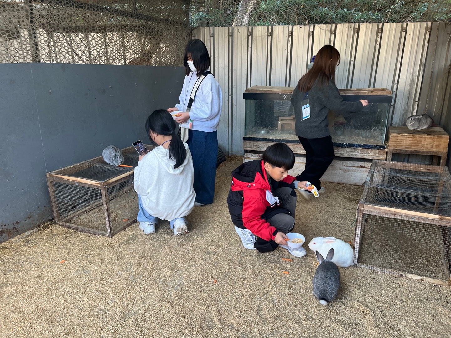 KakaoTalk_20241209_141403496_14.jpg