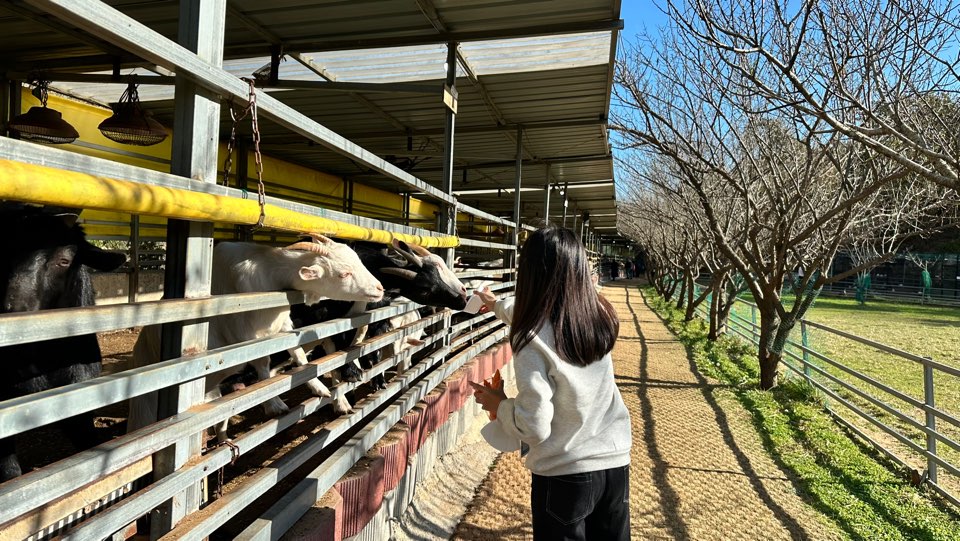 KakaoTalk_20241209_142059353_25.jpg