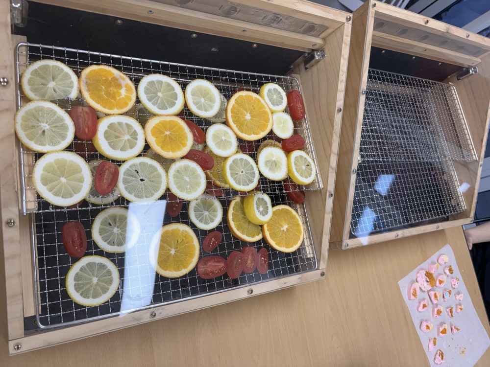 KakaoTalk_20241102_172340383_17.jpg