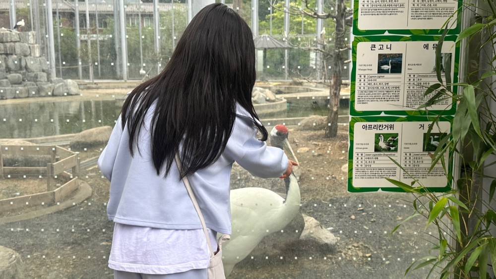 KakaoTalk_20250510_174824779_05.jpg
