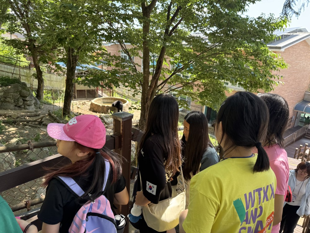 KakaoTalk_20260627_155249159_11.jpg